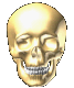 Skull.gif (88089 bytes)